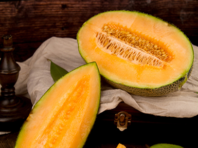 九游在线体育平台基地展示三