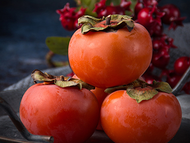 九游在线体育平台基地展示四